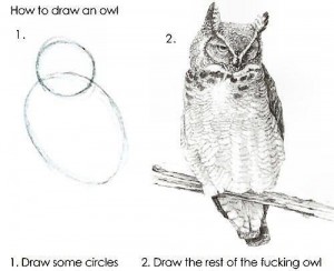 owl